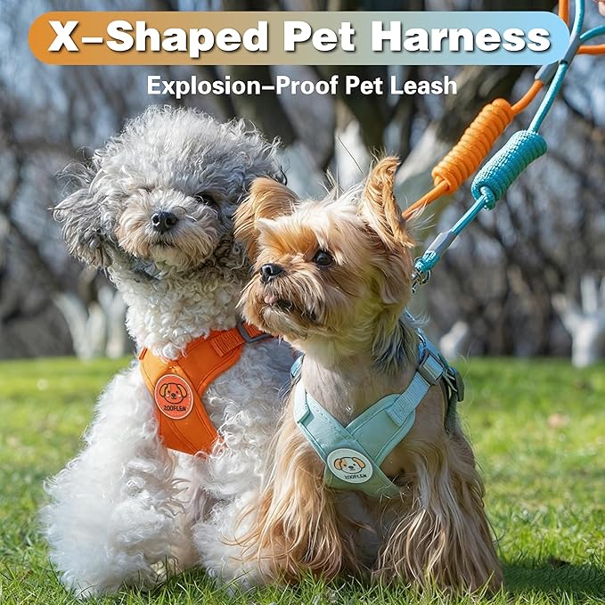 Dog Harness with Leash Set, Puppy Soft Vest No Choke No Pull, Adjustable Neck and Chest, Lightweight Harness and Anti-Twist Pet Leash Combo for Small to Medium Dogs (Blue, L-Large)