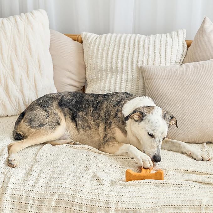 SPOT Bam-Bones Plus T Bone - Bamboo Fiber & Nylon, Durable Long Lasting Dog Chew for Aggressive Chewers – Toy for Dogs & Puppies Under 90lbs, Non-Splintering, 7in, Allergen Free Peanut Butter Flavor