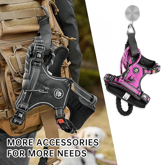 NESTROAD No Pull Dog Harness,Adjustable Oxford Dog Vest Harness with Leash,Reflective No-Choke Pet Harness with Easy Control Soft Handle for Small Dogs(Small,Fuchsia Pink)