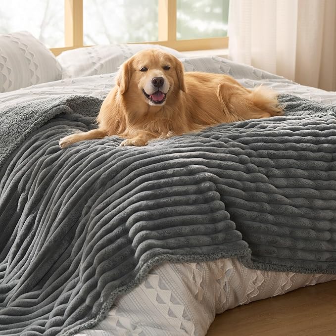 Bedsure Waterproof Dog Blankets for Large Dogs - Soft Pet Cat Blanket Corduroy Fleece for Bed Protector Washable, Cozy Calming Reversible Furniture Protection for Puppy,60"x80", Warm Grey