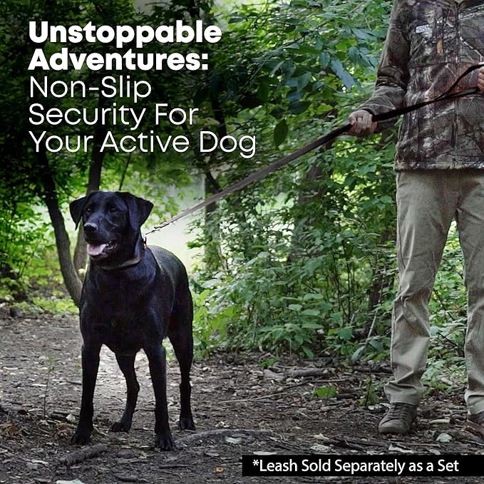 Regal Dog Products Medium Black with Custom Engraved Reflective Dog Collar and Leash Set | Waterproof Dog Collar with D Ring | Center Ring & 5'ft Leash | Matching Dog Collar and Leash for Dogs