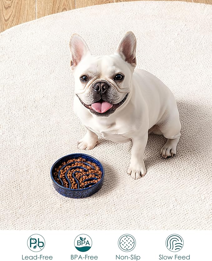 vancasso Slow Feeder Dog Bowl, 0.6 Cup Ceramic Slow Feeding Food Dish for Small Breed, Puzzle Dog Food Bowl for Fast Eater, Blue