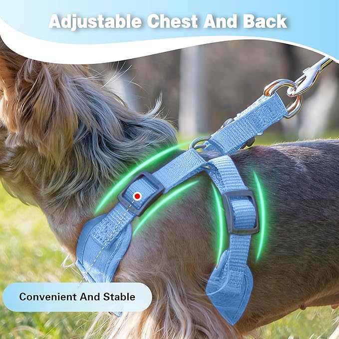 Dog Harness with Leash Set, Puppy Soft Vest No Choke No Pull, Adjustable Neck and Chest, Lightweight Harness and Anti-Twist Pet Leash Combo for Small to Medium Dogs (Blue, M-Medium)