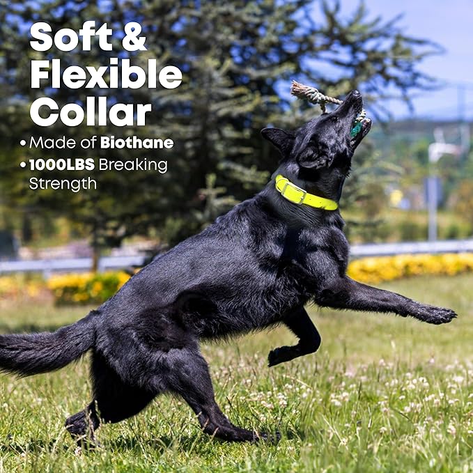 Regal Dog Products Medium Yellow with Custom Engraved Reflective Dog Collar and Leash Set | Waterproof Dog Collar with D Ring | Center Ring & 5'ft Leash | Matching Dog Collar and Leash for Dogs