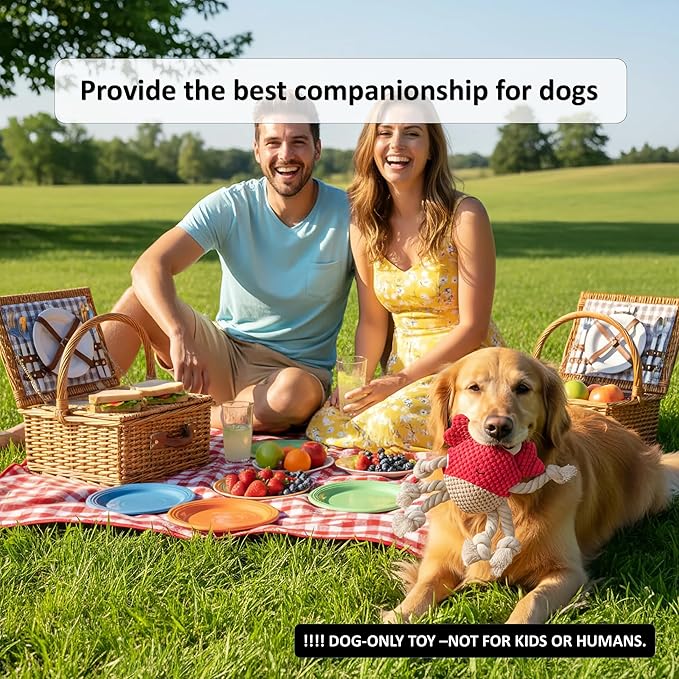 Squeaky Crab Dog Toy with Rope Legs - Durable Chew Toy for Small Dogs | Built-in Whistle & Crinkle Sounds | Teeth Cleaning | Interactive Dog Toys （RED）