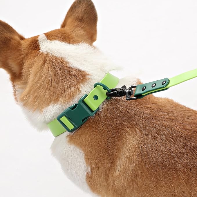 WLK1005B-5SET Luna Medium 8FT Adjustable 6-in-1 Waterproof Hands-Free Leash and Collar with LED Flashlight, Bag Dispenser, and Poop Bag Holder, Mojito