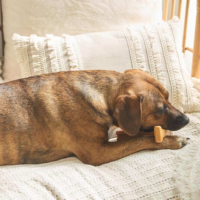 SPOT Bam-Bones Plus T Bone - Bamboo Fiber & Nylon, Durable Long Lasting Dog Chew for Aggressive Chewers – Toy for Dogs & Puppies Under 60lbs, Non-Splintering, 6in, Allergen Free Peanut Butter Flavor