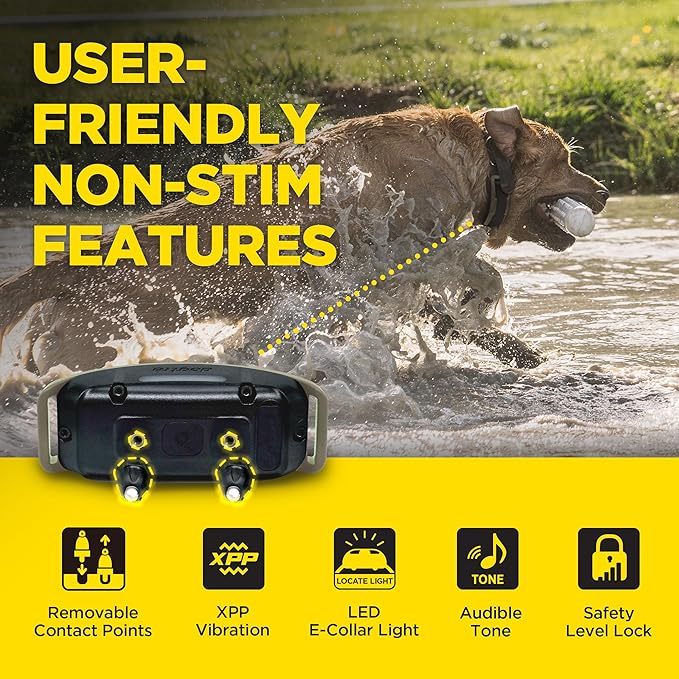 Dogtra 1900X E-Collar Additional Receiver 35 lbs+, 3/4 Mile Range, LED Light, 100 Levels of Precise Control for Stubborn Dogs, Waterproof, Boost for Quick Recall, Vibration, Safety Lock & Tone