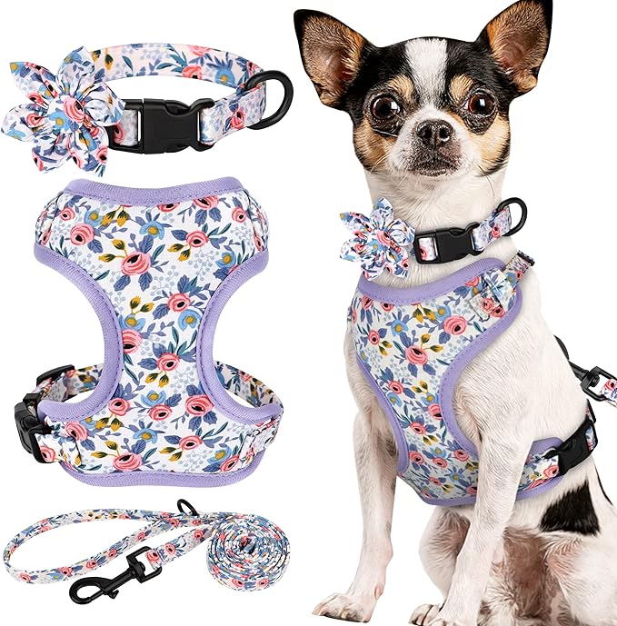 Beirui Cute Girl Dog Collars, Harnesses & Leashes Set - Adjustable Dog Collar and Leash Set with Flower - Soft Mesh Dog Vest Harness for Puppies Small & Extra Small Dogs Cats (Blue,XXS)