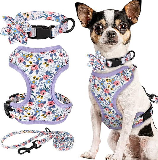 Beirui Cute Girl Dog Collars, Harnesses & Leashes Set - Adjustable Dog Collar and Leash Set with Flower - Soft Mesh Dog Vest Harness for Puppies Small & Extra Small Dogs Cats (Blue,XXS)