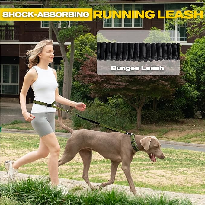 Fida 6-in-1 Hands Free Dog Leash Heavy Duty, Reflective Wasit Corssbody Dog Leash with Car Seat Clip | Adjustable for Running Hiking | Shock Absorbing Bungee, Dual Padded Detachable Handles (Green)