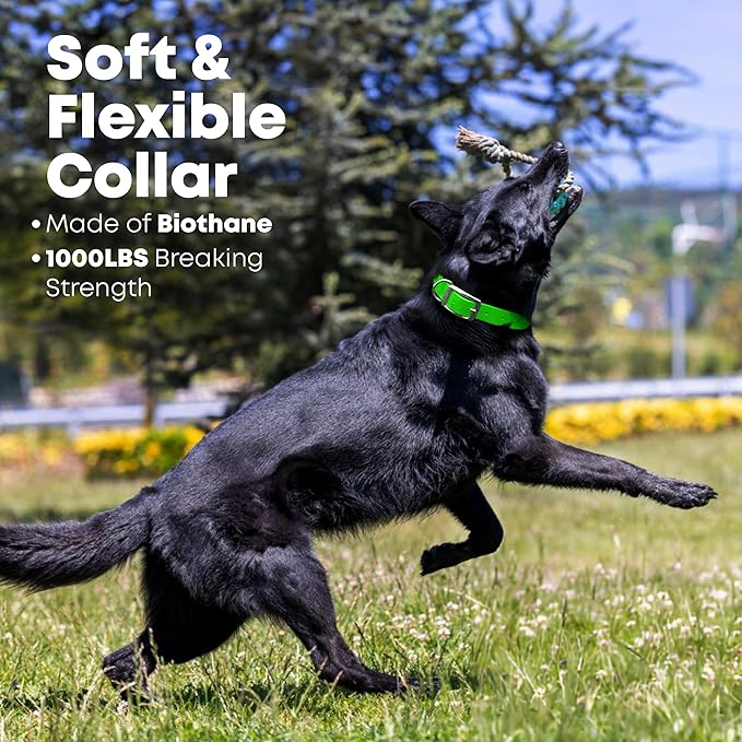 Regal Dog Products Medium Lime Green with Custom Engraved Reflective Dog Collar and Leash Set | Waterproof Dog Collar with D Ring | Center Ring & 5'ft Leash | Matching Dog Collar and Leash for Dogs