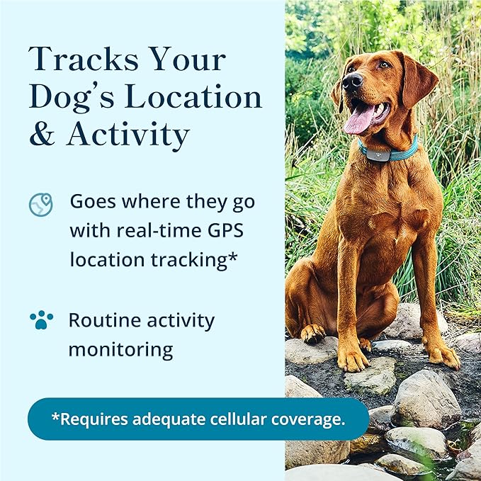 Petivity Smart GPS and Activity Dog Tracker