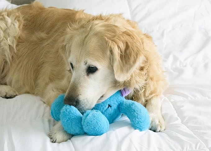 Flourish Pets 3 in 1 Multi-Layer Chew Toy for Active Dogs | Non-Toxic BPA Free Double Stitched Soft Fabric Exterior Dog Toys | Long-Lasting Dog Plush Toys – Large, Blue Monster 11"