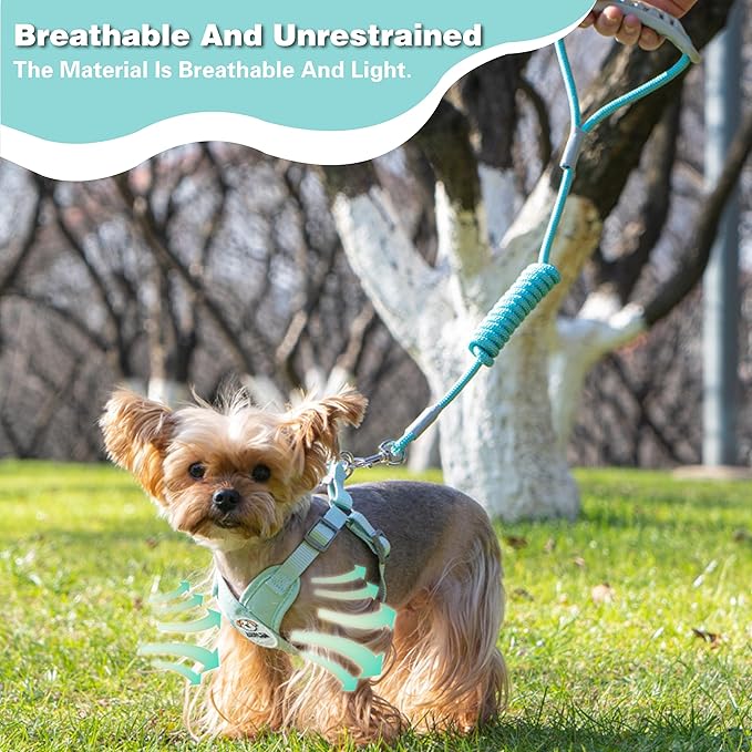 Dog Harness with Leash Set, Puppy Soft Vest No Choke No Pull, Adjustable Neck and Chest, Lightweight Harness and Anti-Twist Pet Leash Combo for Small to Medium Dogs (Green, L-Large)