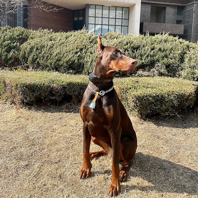 Dog Collar Copper Bell Pet Tracker Noise Maker/Leather Crafters Country Grazing Cow Bell for Pet Anti-Lost Pendant ID Tags for Pet Training Tracker Christmas New Year’s Eve(M)(Silver)