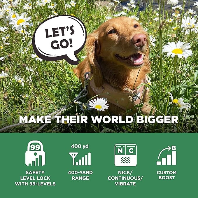 Dogtra CUE Gen 2 Grey – Customizable E-Collar for Dogs Training Collar with Remote – Easy, Safe, Beginner-Friendly Design – 99 Levels, Vibration, Boost, Waterproof, Rechargeable, 400-Yard Range