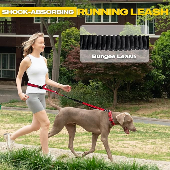 Fida 6-in-1 Hands Free Dog Leash Heavy Duty, Reflective Wasit Corssbody Dog Leash with Car Seat Clip | Adjustable for Running Hiking | Shock Absorbing Bungee, Dual Padded Detachable Handles (Red)