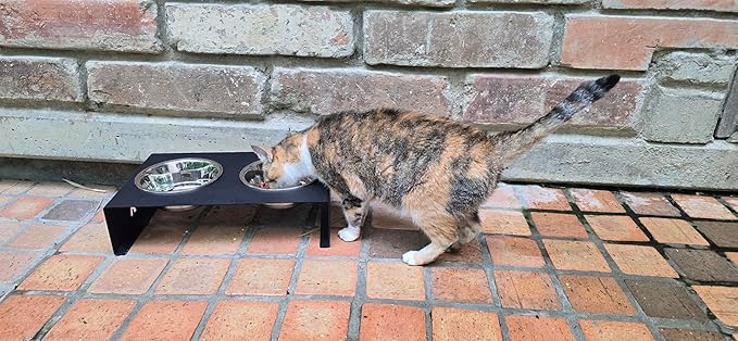 Elevated Dog Bowls for Food and Water with 2 Stainless Steel Bowls - Pet Feeder Stand, Raised Bowl Stand for Dogs and Cats - Dog Food and Water Bowl Set by Calaox