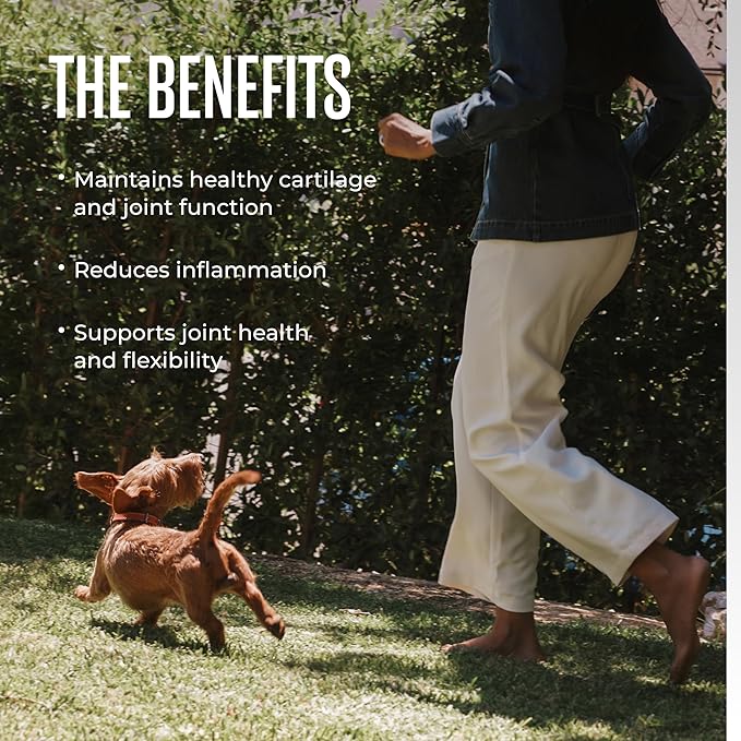 WagWell Mobility Chews – Vet-Formulated, All Natural, Made in The USA – Joint Supplement for Dogs with Glucosamine & Chondroitin – Helps Reduce Inflammation & Promotes Joint Health, 60 Chews