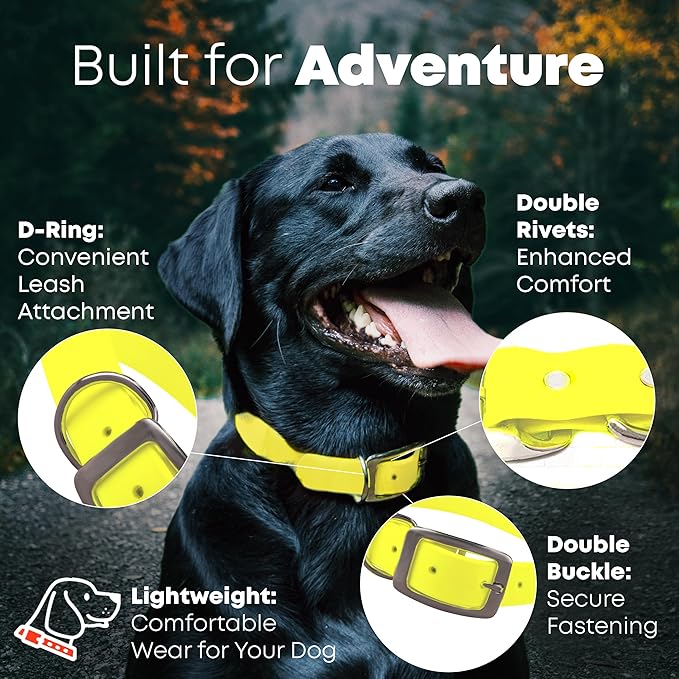 Regal Dog Products Medium Yellow with Custom Engraved Reflective Dog Collar and Leash Set | Waterproof Dog Collar with D Ring | Center Ring & 5'ft Leash | Matching Dog Collar and Leash for Dogs