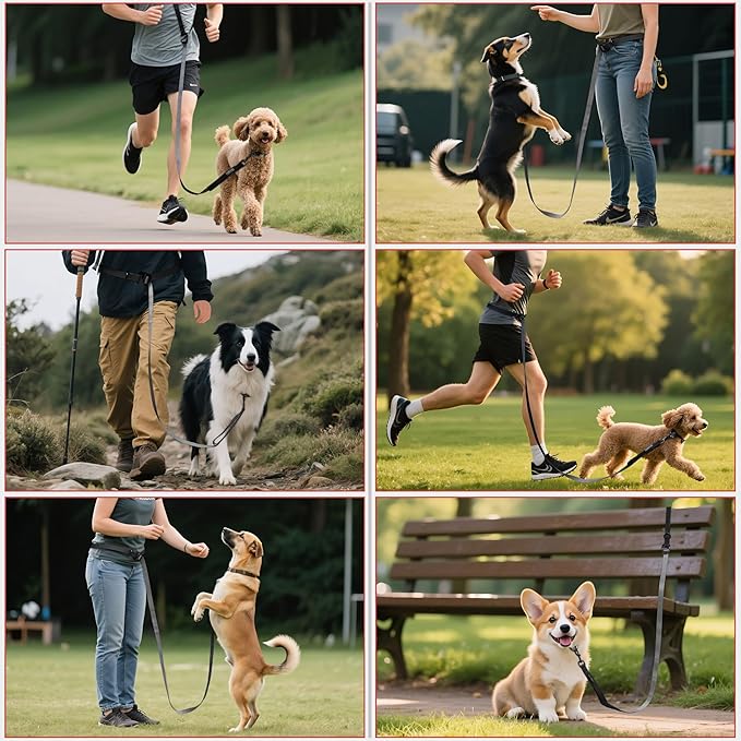 Hands Free Dog Leash, Multifunctional Crossbody Running for Dogs, Ultra-Light Dog Training Leash with Secure Clip, Short & Long Leashes, Adjustable Service Dog Leashes (Black Gray)