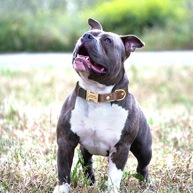 Personalized Dog Collars, Custom Soft PU Leather Dog Collar with Pet Name and Phone Number for Large Dogs, Adjustable and Durable Pet Collars with Quick Release Metal Buckle,XL(17-26")