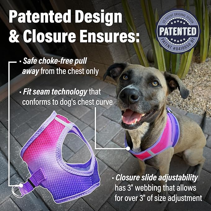 Doggie Design Dog Harness - No Choke Dog Harness, Dog Vest, Mesh Polyester, Pet Harness, Simple Step in and Go Design, Harness for Dog - Raspberry Sundae, XL