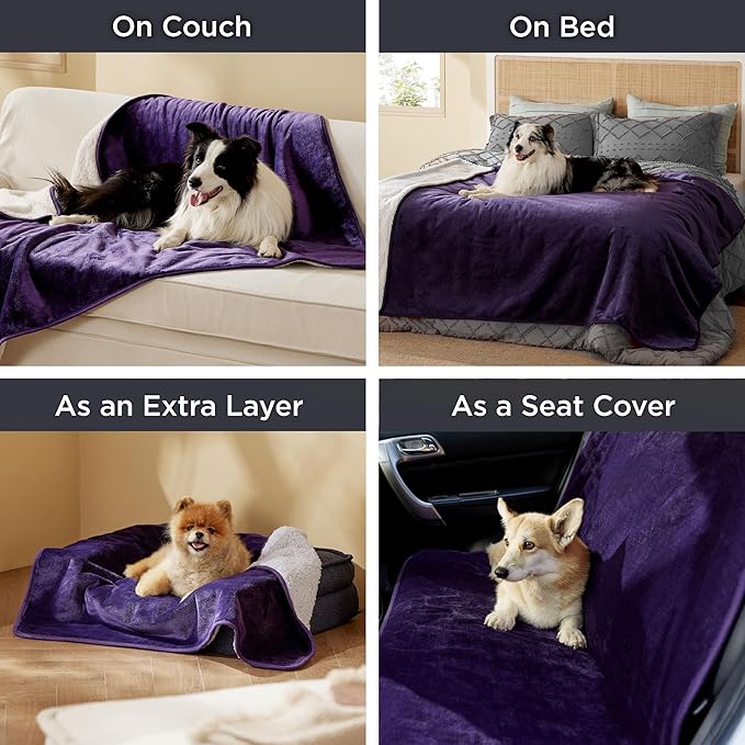 Bedsure Waterproof Blanket for Bed - Sherpa Fleece Waterproof Dog Blankets for Large Dogs, Pet Blankets for Bed/Couch/Dog Crate, Soft Plush Reversible Furniture Protector, Queen, 90"x86", Eggplant