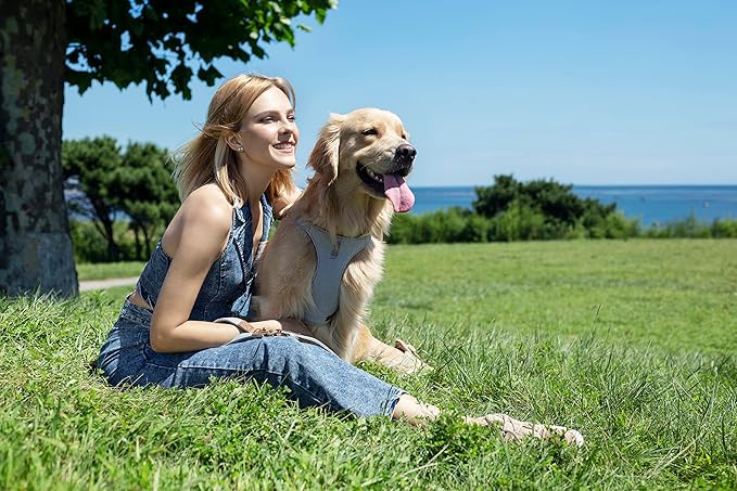 Dog Harness, No Pull Dogs Harness and Multi-Function Leash Set for Medium Dogs Easy Walk Everyday Adjustable Soft Dog Vest Harness Fashionable Dog Accessories Grey Blue-Button-L