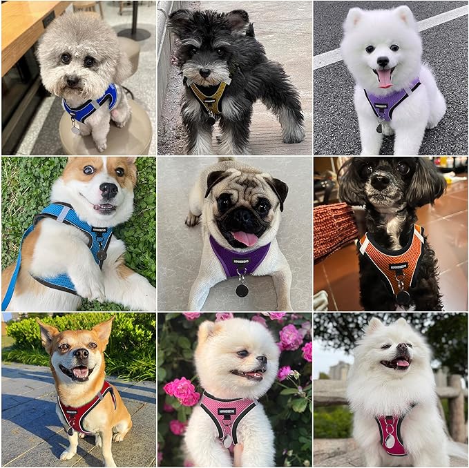 Dog Harness and Leash Set, Dog Harness for Dogs No Pull, No-Chock Step-in Reflective Breathable Lightweight Easy Walk Vest Harnesses with Safety Buckle for Small Medium Dogs, Cats (Yellow, XXS)