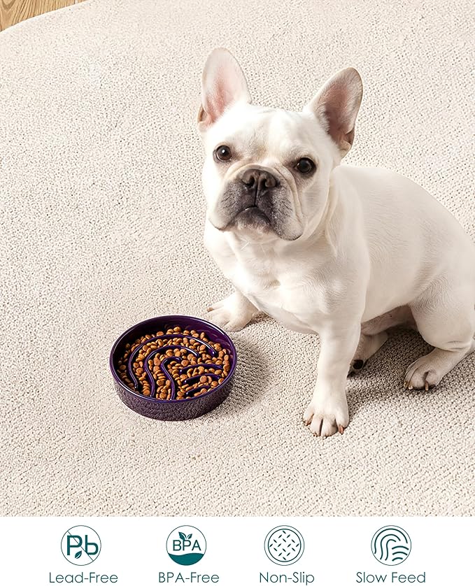 vancasso Slow Feeder Dog Bowl, 0.6 Cup Ceramic Slow Feeding Food Dish for Small Breed, Puzzle Dog Food Bowl for Fast Eater, Dark Purple