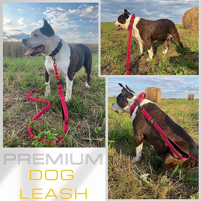 ADITYNA Tactical Bungee Dog Leash 6ft-7.5ft - Shock Absorbing Lead with 2 Padded Handles, Metal Clasp, Car Seatbelt - Heavy Duty No Pull for Medium, Large & XL Breeds