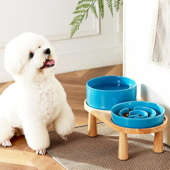 Ceramic Slow Feeder and Water Bowl Set for Medium and Large Dogs, 8.0inch Ceramic Dog Bowls Elevated with Wooden Stand, 2.0 Cups Dog Slow Feeder(30oz) and 70oz Water Bowl Set, Blue