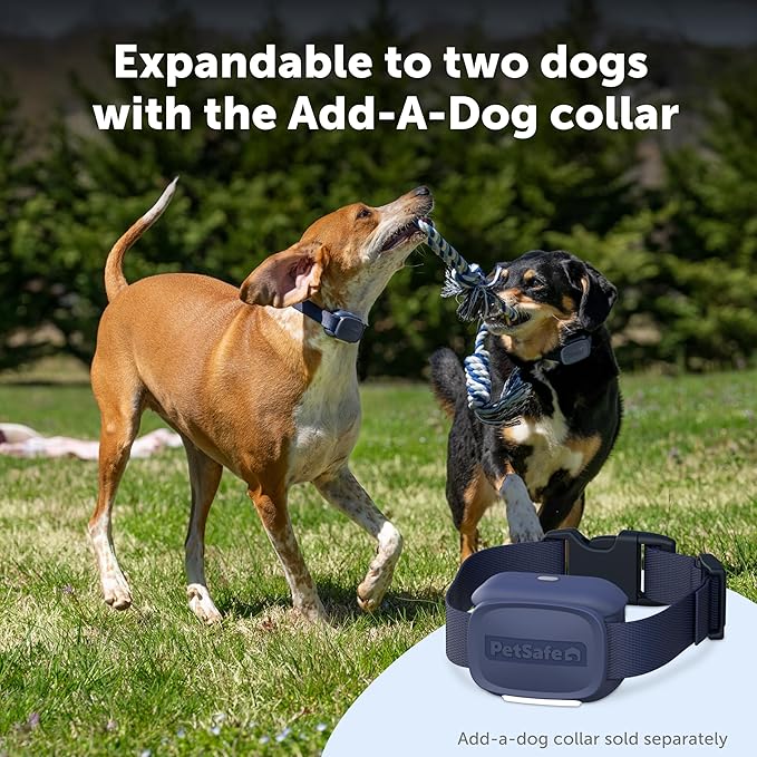 PetSafe Core Dog Trainer with Remote - Effective Dog Training - 15 Levels of Static Correction - Waterproof Collar - Rechargeable Training Collar - Compact Remote Transmitter