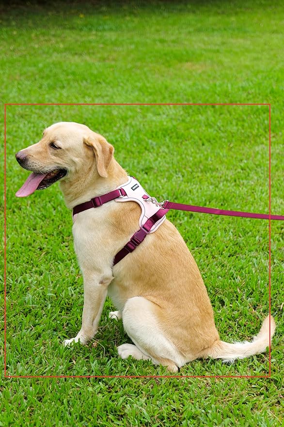 No Pull Dog Harness Leash and Collar Set, Soft Adjustable Dogs Vest Reflective and Comfortable Handle Pink Small