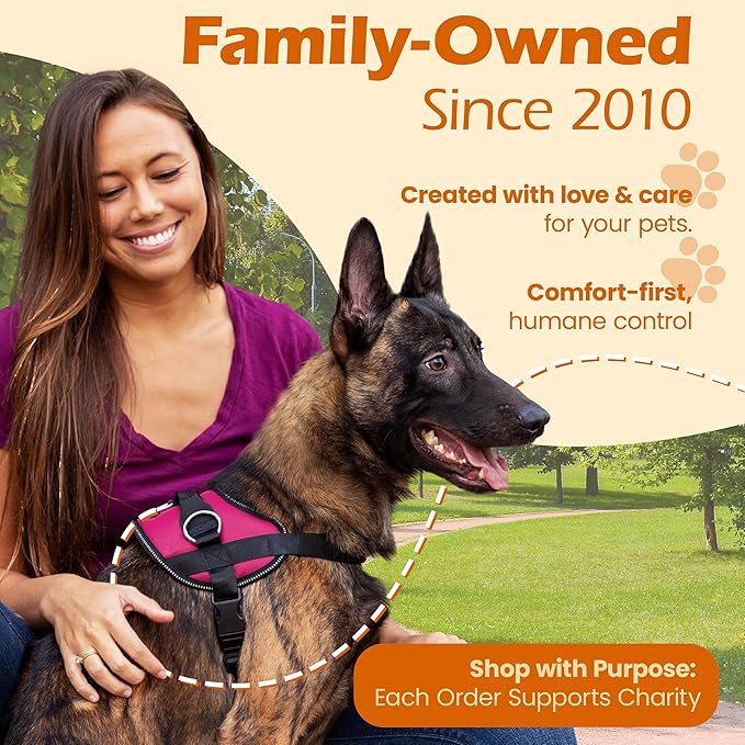 Bark Appeal Pink No-Pull Dog Harness for XS to Small Sized Pets – Adjustable, Reflective Vest with 3 Leash Clips for Added Control, Easy Walks & Training – Small