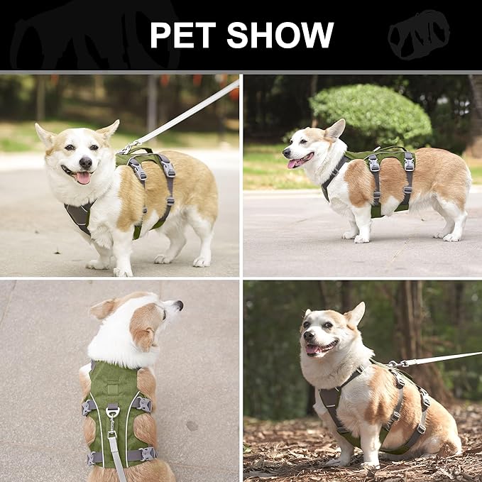 Escape Proof Dog Harness with Handle - Reflective No Pull Dog Vest, Lightweight Full Body Pet Harness Adjustable for Small Dogs Walking,Training(Green,Chest:14-22")