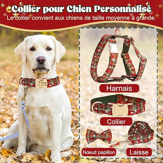 Christmas Personalized Dog Collar with Metal Buckle, Christmas Collar Customized with Name and Phone Number, Adjustable Sizes for Small Dogs, Medium, and Large