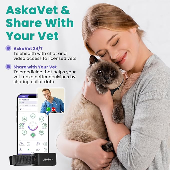 New PetPace V3.0 Cat Health Monitor by PetPace – AI Health Collar with 24/7 Vital Signs Alerts, GPS, Telehealth Consults, AskaVet & Share with Your Vet & SmartWatch Sync – Subscription Required