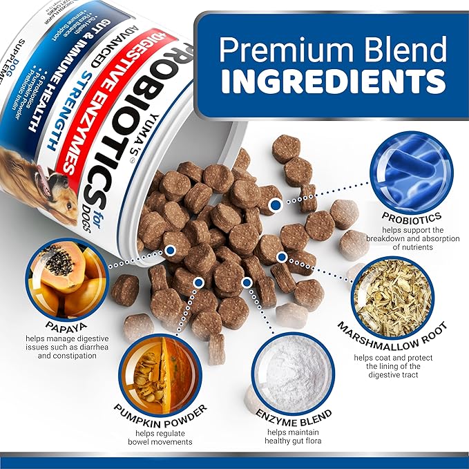 Probiotics for Dogs and Digestive Enzymes - 170 Dog Probiotics Chews - Dog Probiotic - Anti Diarrhea, Upset Stomach & Gas Relief, Constipation, Canine Prebiotic - Pet Fiber Supplement - Gut Health