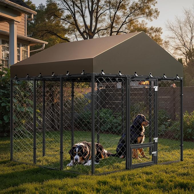 6x6FT Heavy Duty Outdoor Dog Kennel with Roof – Large Dog Enclosure & Weatherproof Dog House, Secure Metal Fence Playpen with Double Lock & Feeding Swivel Door for Big Dogs