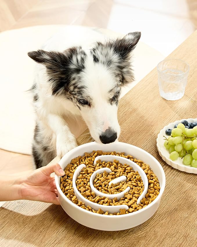 Ceramic Slow Feeder Bowls for Large Dogs, 3.0 Cups Slow Feeder for Fast Eaters, 48oz, 10in, White