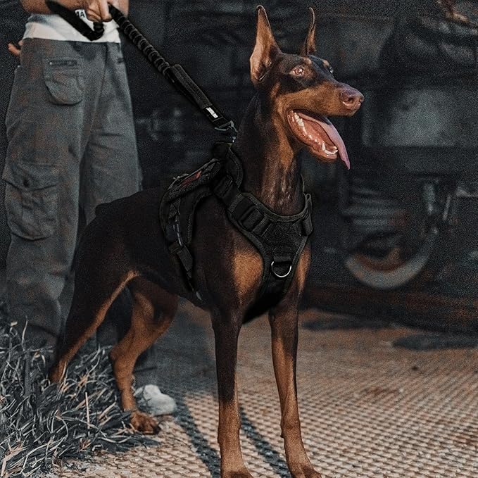 Tactical Dog Training Bungee Leash with 2 Control Handle Quick Release Nylon Leads Rope (Black)