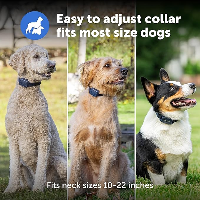 PetSafe Core Dog Trainer with Remote - Effective Dog Training - 15 Levels of Static Correction - Waterproof Collar - Rechargeable Training Collar - Compact Remote Transmitter