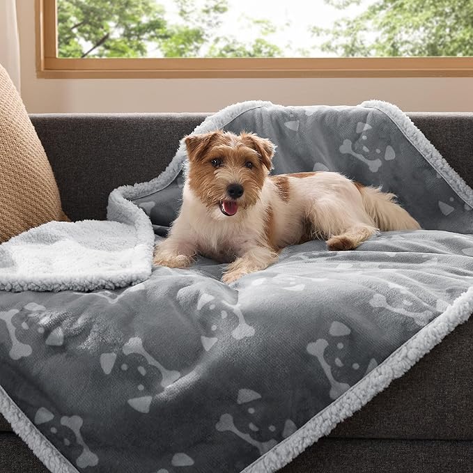 Bedsure Waterproof Dog Blankets for Medium Dogs Washable - Soft Print Sherpa Fleece Puppy Cat Blanket, Cozy Plush Reversible Throw Furniture Protector for Pet Kitten Doggy, 30"X40", Smokey Grey