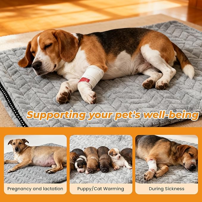 PatiencET 18"x28" Heated Pet Bed – Large Cat & Small Dog Heating Pad, 6-Temp Thermostat, 5-Timer, Washable Flannel Cover, Warming Mat for Sofa, Crate, Kennel