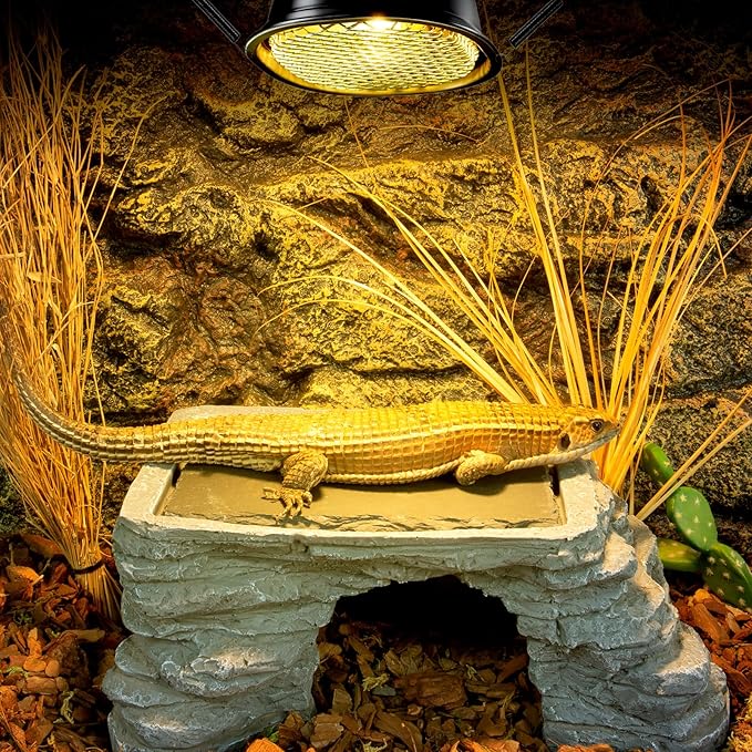 REPTI ZOO G9 Reptile Heat Lamp Bulb & Reptile Light Fixture with Safety Mesh Kit, 50W UVA Basking Light Fixture for Bearded Dragon Gecko Lizard Turtle Snake Chicken, Low Profile Warm White Heat Bulb