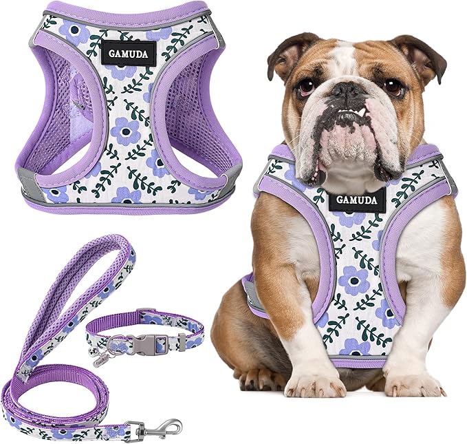 GAMUDA Small Dog Harness Collar and Leash Set, Step in No Chock No Pull Soft Mesh Adjustable Dog Vest Harnesses Plaid Reflective for Dogs Puppy Cats Kitten Rabbit (Purple Flower, XL)