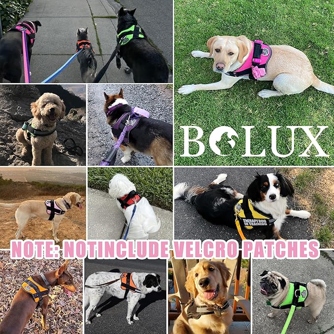 Bolux Dog Harness, No-Pull Reflective Dog Vest, Breathable Adjustable Pet Harness with Handle for Outdoor Walking - No More Pulling, Tugging or Choking (Medium (Pack of 1), OilPainting)